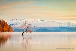 Winter Morning, Lake Wanaka, Otago